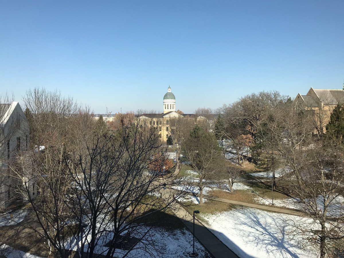 Becki Bellito tweet media