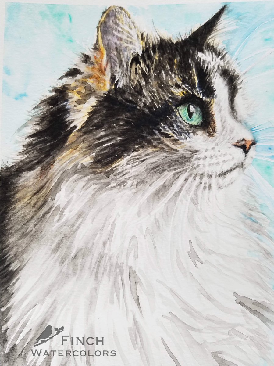 Finch_Minis's tweet photo. Just some recent #watercolor #painting commissions I've done. I love painting doggos and kitties!  RIP to all these good boys and girls. 👼🎨🐶🐱 https://t.co/U5uyTWUpwS