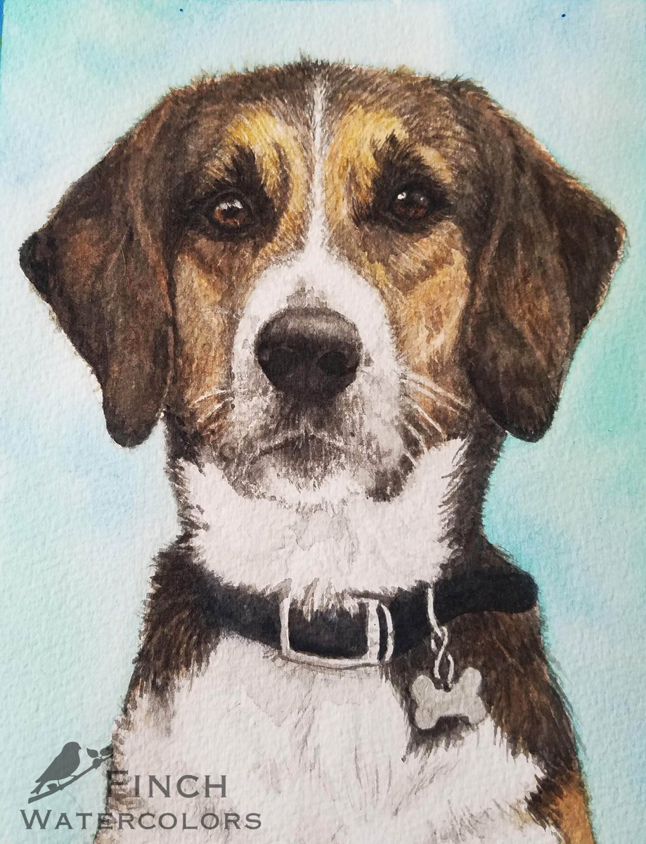 Finch_Minis's tweet photo. Just some recent #watercolor #painting commissions I've done. I love painting doggos and kitties!  RIP to all these good boys and girls. 👼🎨🐶🐱 https://t.co/U5uyTWUpwS