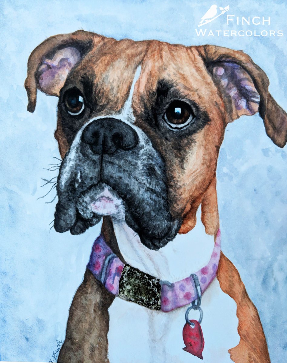 Finch_Minis's tweet photo. Just some recent #watercolor #painting commissions I've done. I love painting doggos and kitties!  RIP to all these good boys and girls. 👼🎨🐶🐱 https://t.co/U5uyTWUpwS