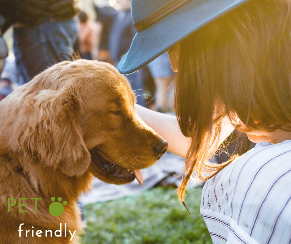 DTMeadowLands's tweet photo. We are a pet friendly hotel and very proud of it! Bring your best furry friend with you on vacation to #Pittsburgh! 🐾 https://t.co/uJUMnLnJCa