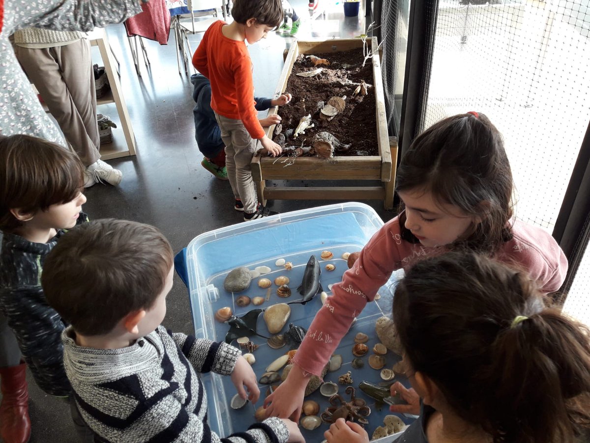 EscolaSolc's tweet image. Estrenem medi aquàtic amb #animals marins als #ambients de lliure circulació de #cicleinicial. Èxit contundent! #aprenemjugant
