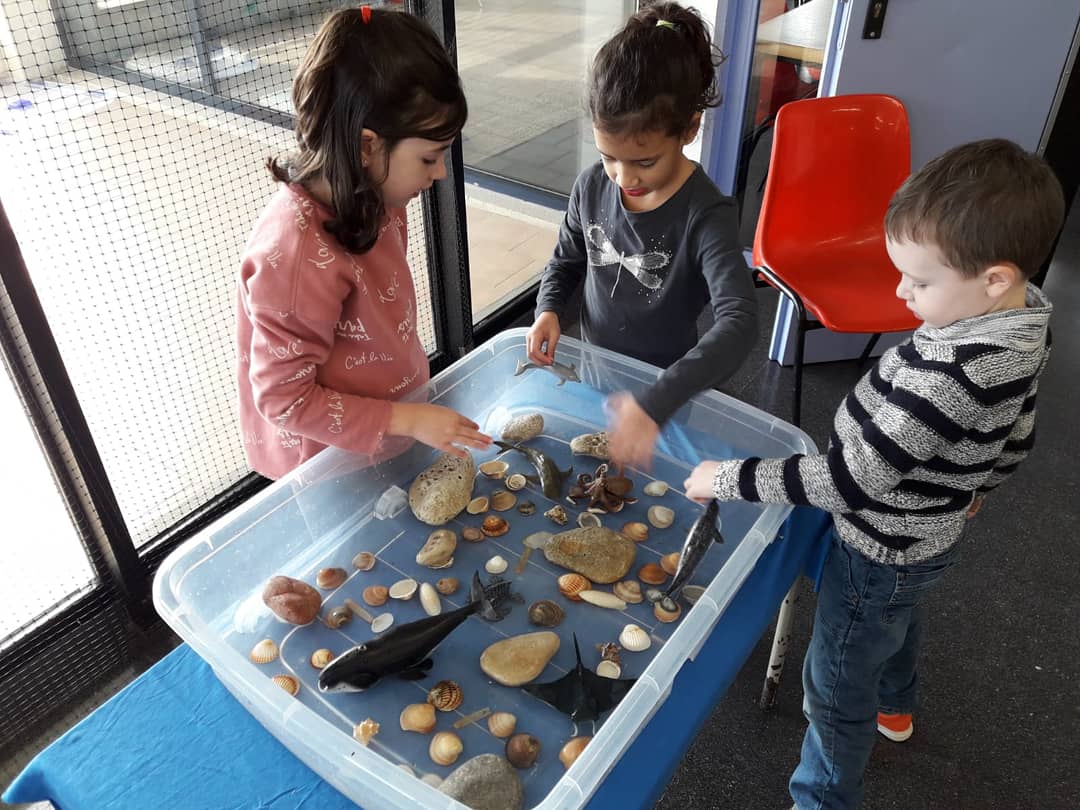 EscolaSolc's tweet image. Estrenem medi aquàtic amb #animals marins als #ambients de lliure circulació de #cicleinicial. Èxit contundent! #aprenemjugant