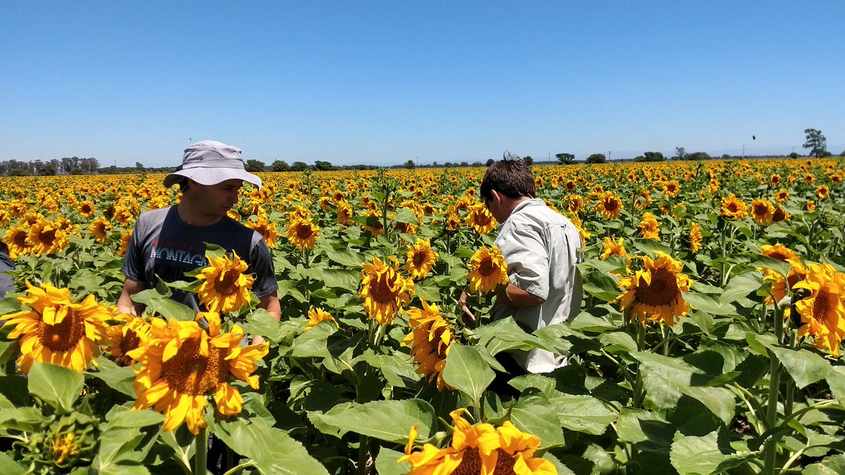 ljandreoni's tweet photo. Hoy compartimos el día con Juan Cruz, Adriana, Raul, Marcelo y Carlos de Campos y negocios y Marcelo Valdez de RABIT en Monte Cristo, pensando en la agricultura que se viene, nuevos desafíos y más sustentabilidad!!! Excelente jornada https://t.co/uXgxtXHZTe