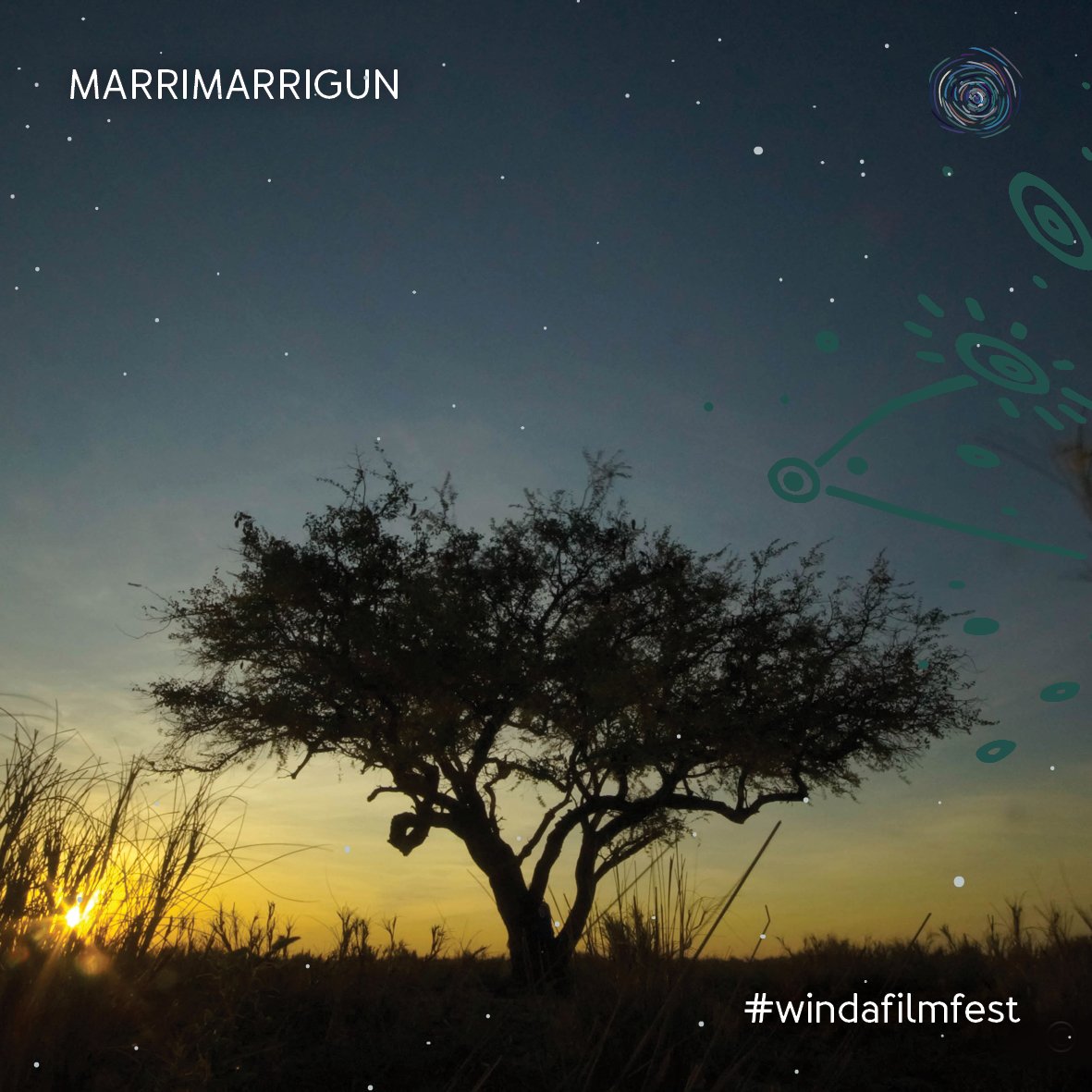 WINDA Film Festival tweet media