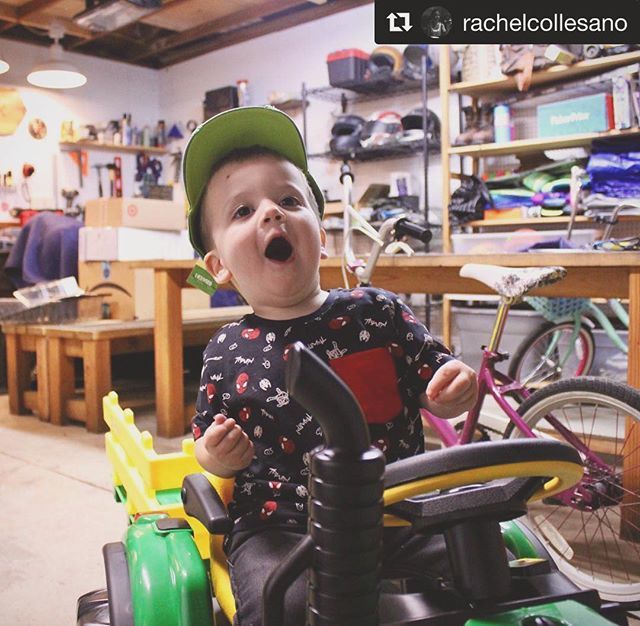 Josh Collesano tweet media