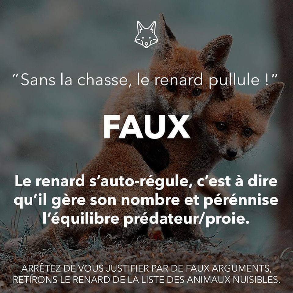 LigueDesAnimaux's tweet photo. La Nature s'est toujours gérée sans l'aide de l'Homme ! 
Laissons la tranquille et elle nous le rendra bien ;) 

#StopChasse #SauvonsLaNature https://t.co/2k91PHju32