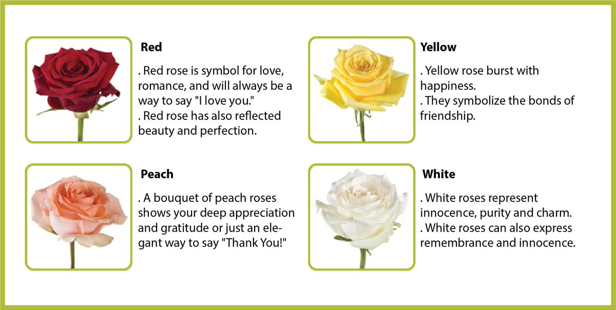 Gifty_Ideas's tweet photo. It is always good to know the symbolic meanings associated with roses when you gift them to your loved ones. Choosing a specific rose colour to express your innermost thoughts. 
Tumblr (Thursday)  https://t.co/YFj60LPqkM
Instagram (Friday)  https://t.co/LiEWRmMEDS https://t.co/xPJ84ljkcO