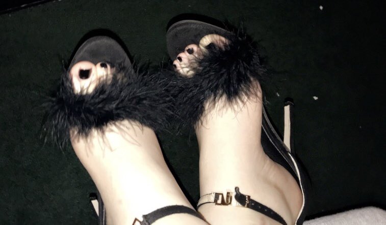 GoddessOfGreed's tweet photo. L got me some shoes and reimbursed my pamper day. Such a good mutt. 💵🐶

#findom #paypigs #tribute #goddesslife #reimbursement #FootFetish  #payme

 @rtfindomslut   @rtfindomlove @FeetPromo @Maturefootlover @finsubrt @rt_dumb @findomhxlp  @rt2promopig https://t.co/BGZd1XDHyB