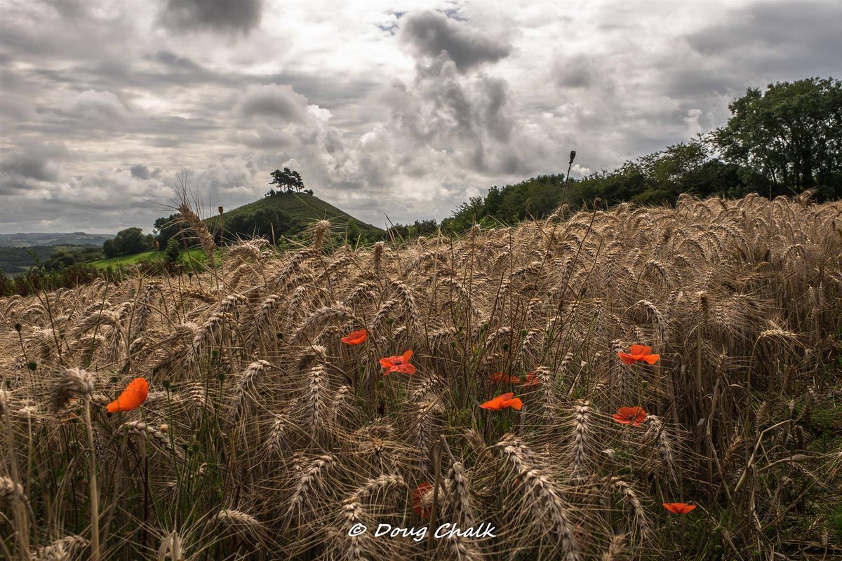 Colmers Hill Fashion Boutique (@colmershill) on Twitter photo The many changing faces of Colmers Hill (our namesake) captured by photographer @doug_chalk in 2019 calendar. Each photo is taken in the month it depicts. Delighted to be selling them at our boutique <a href="/Dorset_Hour/">#Dorsethour</a> <a href="/DorsetTourism/">Visit Dorset</a> <a href="/BridportTourism/">Bridport Tourism</a> <a href="/VisitWestDorset/">Visit West Dorset</a> <a href="/VisitDorsetBiz/">Dorset Tourism Biz</a> The many changing faces of Colmers Hill (our namesake) captured by photographer @doug_chalk in 2019 calendar. Each photo is taken in the month it depicts. Delighted to be selling them at our boutique <a href="/Dorset_Hour/">#Dorsethour</a> <a href="/DorsetTourism/">Visit Dorset</a> <a href="/BridportTourism/">Bridport Tourism</a> <a href="/VisitWestDorset/">Visit West Dorset</a> <a href="/VisitDorsetBiz/">Dorset Tourism Biz</a>