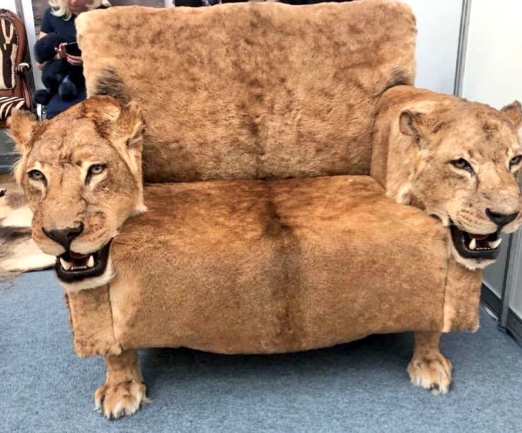 This is the reality of #trophyhunting. They can no longer hide behind the facade of ‘conservation’. Killing is not, and never will be, conservation. It is brutal. It is cruel. It is unnecessary. I will continue to speak out against #TrophyHunting. RT to join me.