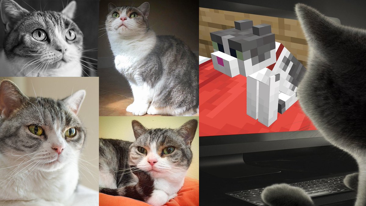 Minecraft Cat Bed 9 Images - Loafcraft Resource Pack Minecraft Texture Pack...