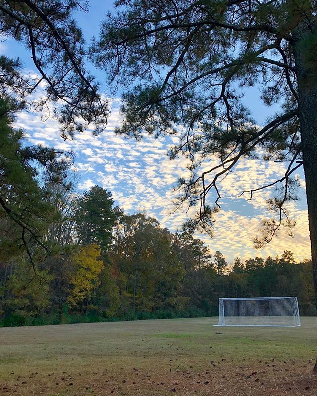 MoRACLT's tweet photo. A perfect day for the park! #moraclt #clt #eastcharlotte #embracemora #evening #dusk #parksandrec #park https://t.co/nOTnOwQvA2 https://t.co/YOsRBy2SfE