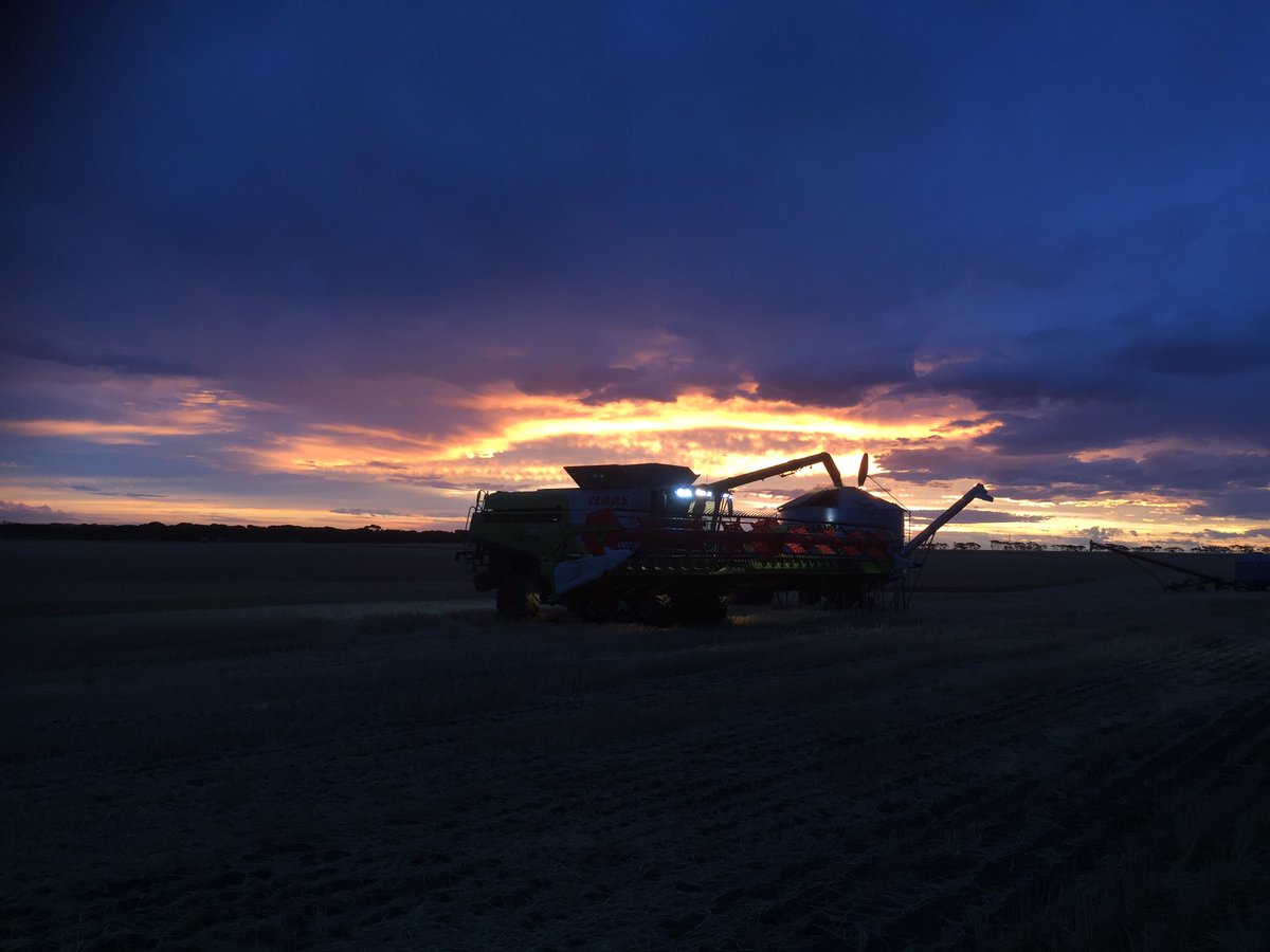 CLAASHC's tweet photo. @gjeast1 out with their demonstration LEXION 760 and CONVIO FLEX 1380 making the most of the dry weather last night! #CLAAS #LEXION #CONVIOFLEX #CLAASHarvestCentre #harvest18 #SouthAustralia https://t.co/HfqfxkyNho