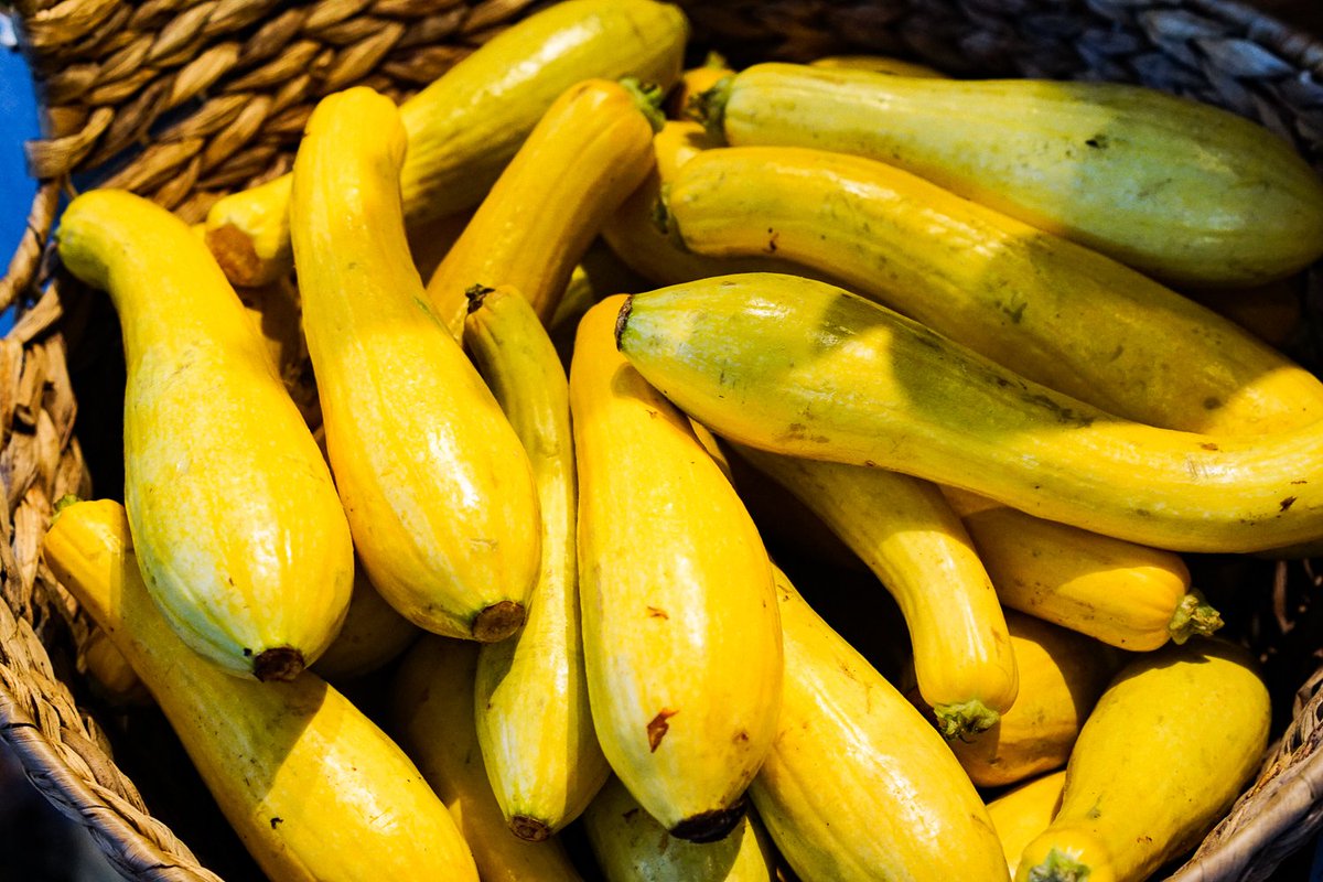 Thanksgiving is just around the corner! What's everyone's favorite Thanksgiving food? 🍗🍂