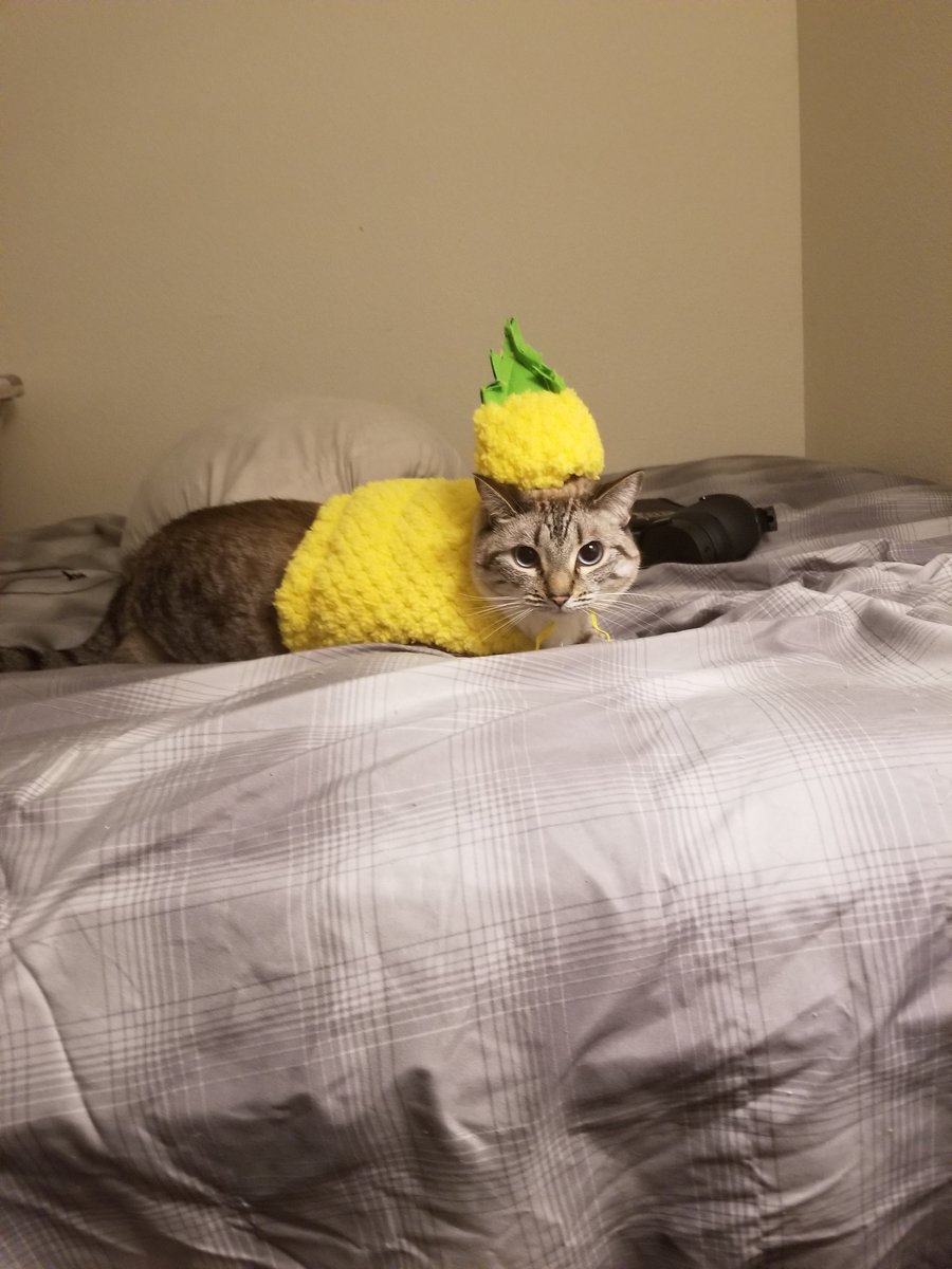 Terrowin2's tweet photo. Haven't had the energy for more pictures lately so here's some bonus pictures I never posted leftover from Halloween. https://t.co/I1az71pxAC