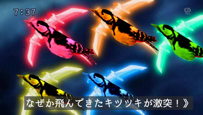 キツツキのtwitterイラスト検索結果