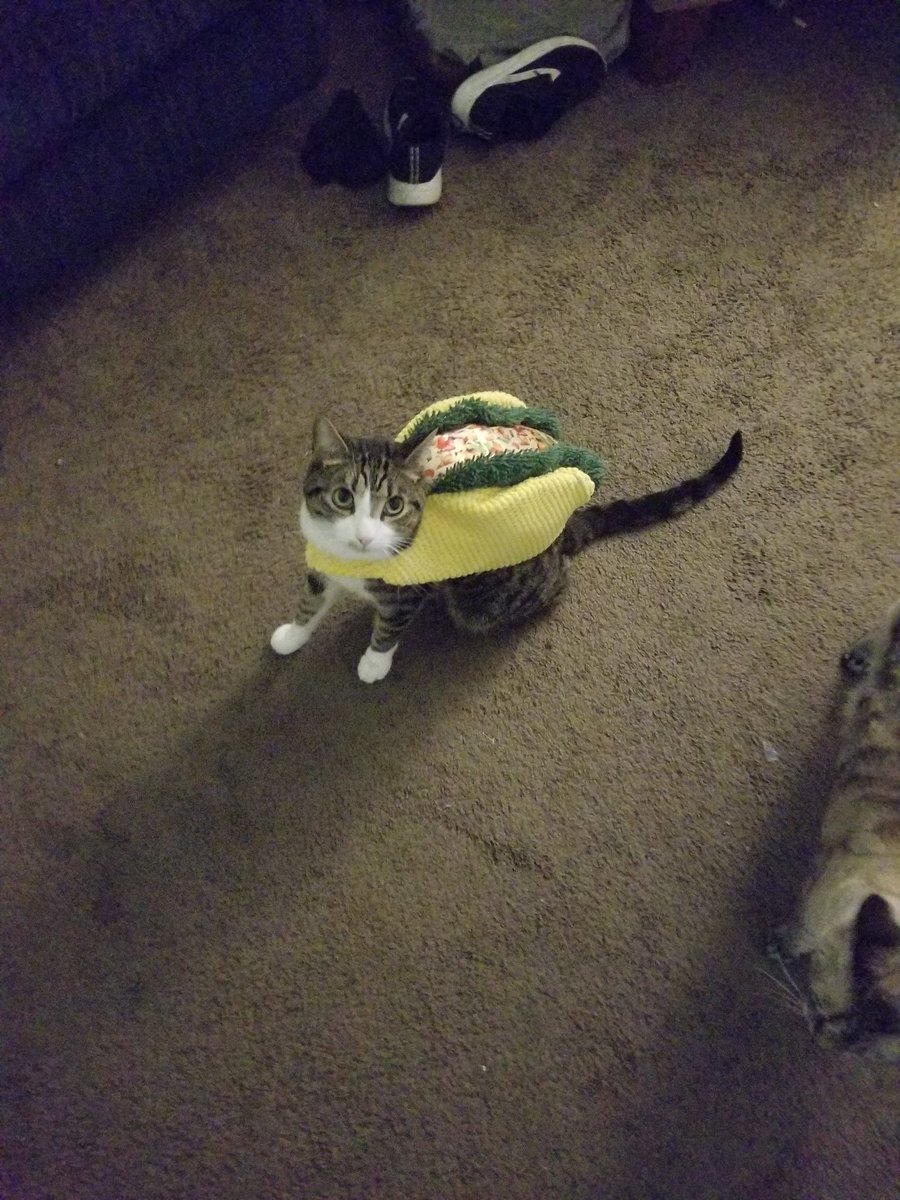 Terrowin2's tweet photo. Haven't had the energy for more pictures lately so here's some bonus pictures I never posted leftover from Halloween. https://t.co/I1az71pxAC