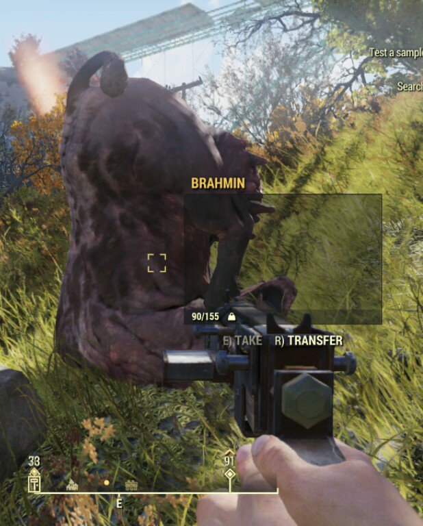 fallout 4 co op mod fallout 4 co op mod