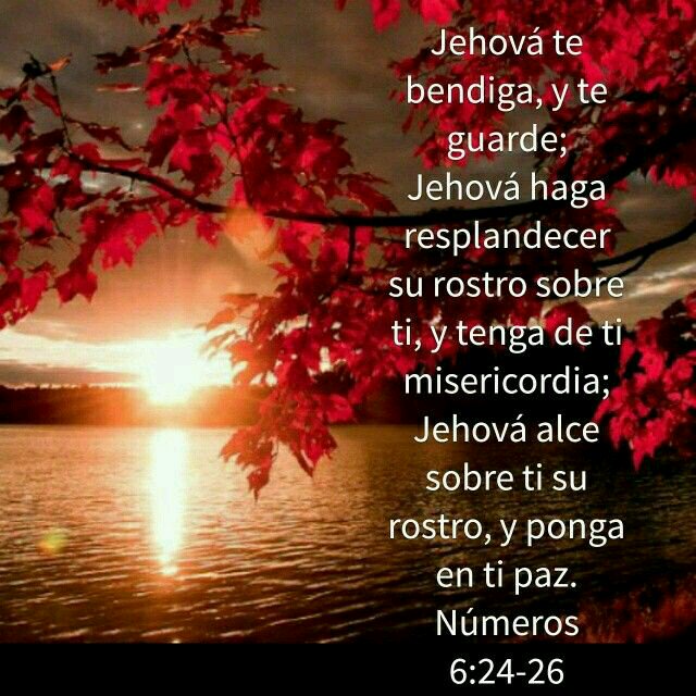 Featured image of post Bendicion Numeros 6 24 26