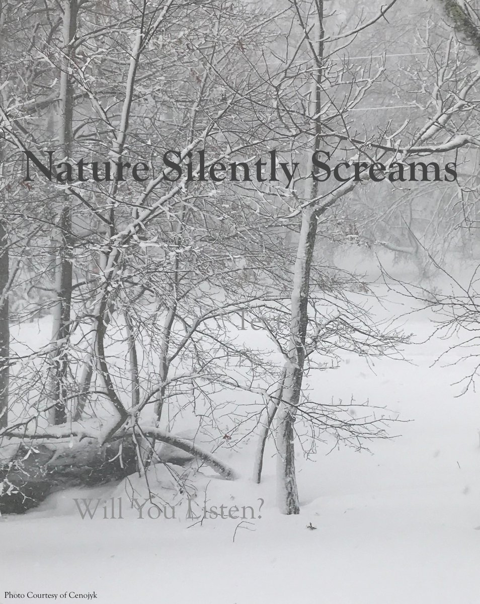 Nature Silently Screams #powerinnature #motivationmonday #movememonday #ilovesnow
ow.ly/aCn030mG4T0