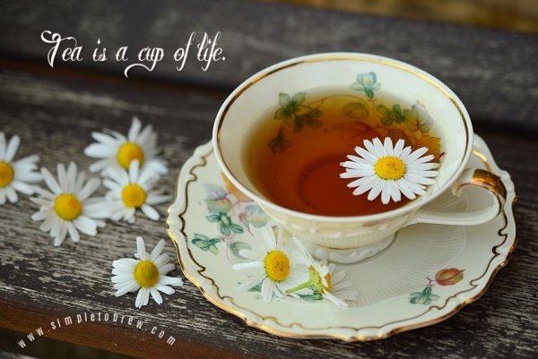 SimpleToBrew's tweet image. Tea is a cup of life.

#tealife #ilovetea #teaaddict #tealovers #drink #hot #mug #teaoftheday #teacup #teaholic #tealove #tea #tealover #looseleaftea #tealicious #afternoontea #teatime #healthy #natural #teacup #teainfuser #timefortea