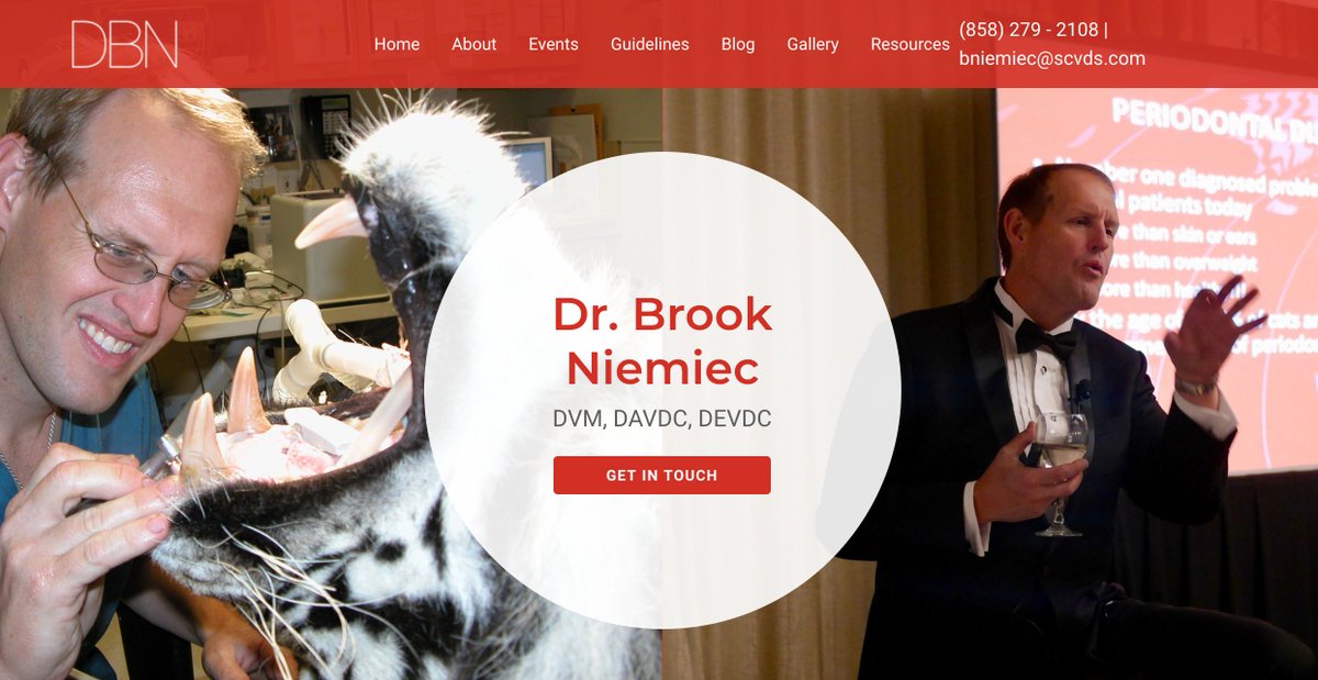 kosmiccreative's tweet photo. Had the pleasure of creating a website for renowned veterinary dentist, Dr. Brook Niemiec. Owning 16 clinics across the U.S., he’s also one of fewer than 10 vets worldwide to hold 3 specific veterinary certificates👨‍⚕️🐾 See what awesome things he's up to | https://t.co/cKxxbPrYRa https://t.co/ynEcaPhfWh