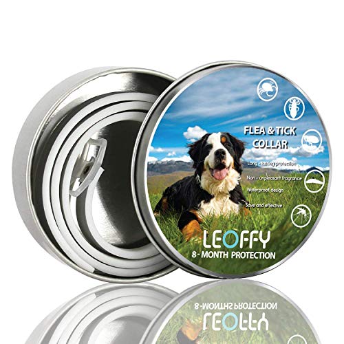 LoveToyDogs's tweet image. ERGMY Dog Flea Collars – Durable Dog Flea Medicine – Allergy Free, Odorless Waterproof Flea Collar dlvr.it/Qrdm8j #FleaAndTickControl #fleaandtick