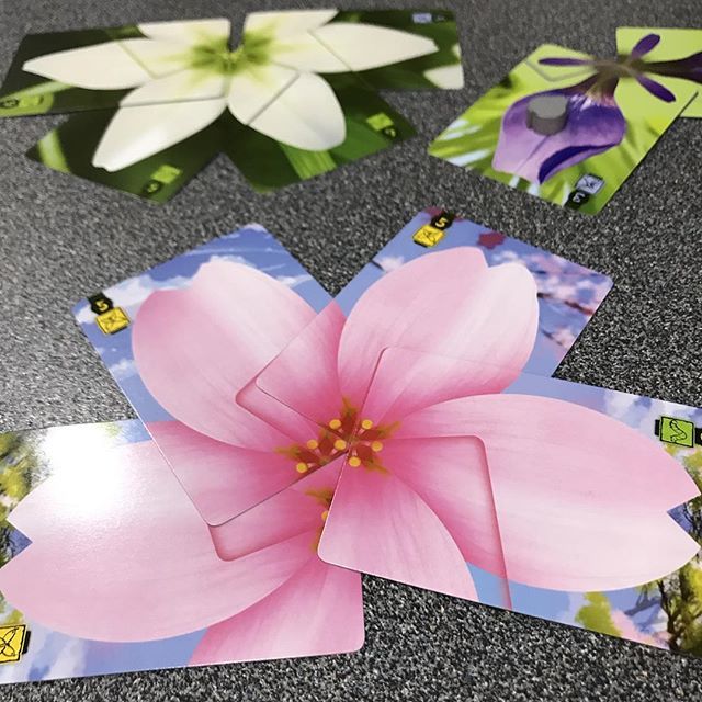 thegamesplainer's tweet photo. Game 579,580/2018 #anotheryearofgames #lotus #renegadegamestudios #bgg #boardgames #boardgames #boardgamesofinstagram #tabletopgames #gamenerd #hillsboardgameclub https://t.co/m1y3uk8DMU https://t.co/u3vXuHjvza