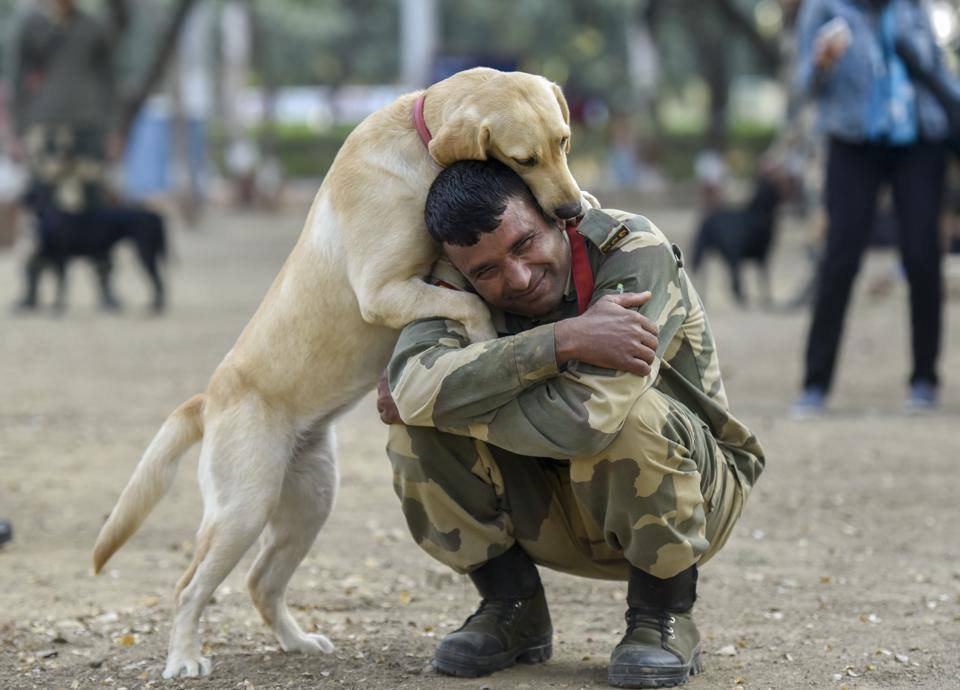 MrnMrsPet's tweet image. Read to know how you can provide a forever home to a national hero!
#armydogs #k9 #2611Attack #MumbaiAttacks 
#TuesdayThoughts mrnmrspet.com/blog-details.a…
