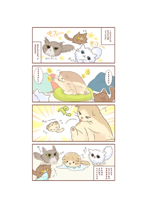 今日の夜の投稿は、新シリーズ(?)「もふたま」!猫が吐いた毛玉から生まれるもふもふの妖精たち!これからこの子たちのお話が始まる…のか!?(絵担)
#もふたま 