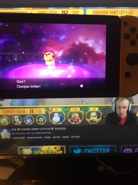 ElrikDark's tweet photo. @GalinoTV Papillusion viewers dex chenipan evoluer let's go pikachu random forêt de jade (Shasserpkmn) https://t.co/myNjDQ8F6P
