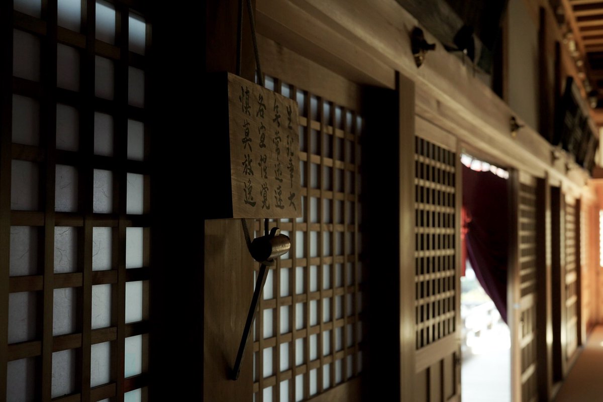 yuyosimuphoto's tweet photo. 空気を写したい。
Zeiss planar fe50 f1.4
#FE50
#ファインダー越しの私の世界
#coregraphy
#ふぉと https://t.co/iQCxiBmdtW