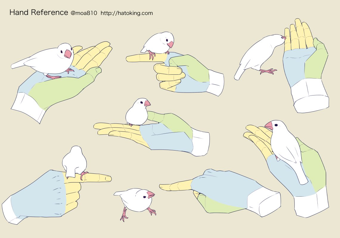 Moa Twitter પર お知らせ トレスokな手のイラスト資料集に 文鳥を飼っている人 スマホを使う を追加しました T Co wjw0jtjn T Co 9upwiuzu4t Twitter