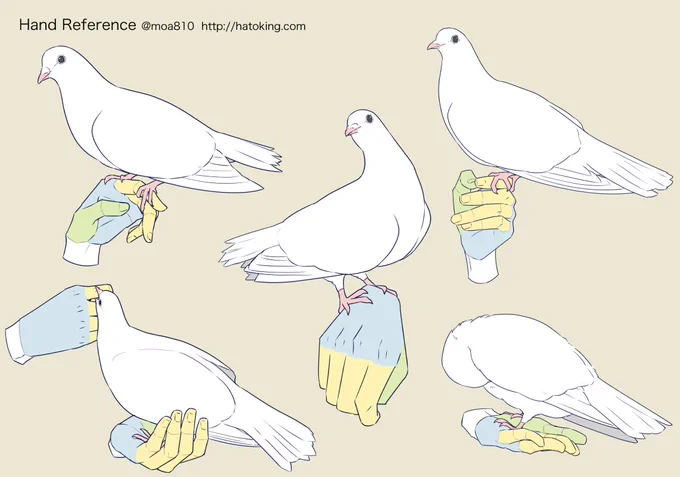 【お知らせ】トレスOKな手のイラスト資料集に「鳩を飼っている人」「注射器」を追加しました。 https://t.co/aaWJW0JtJn 