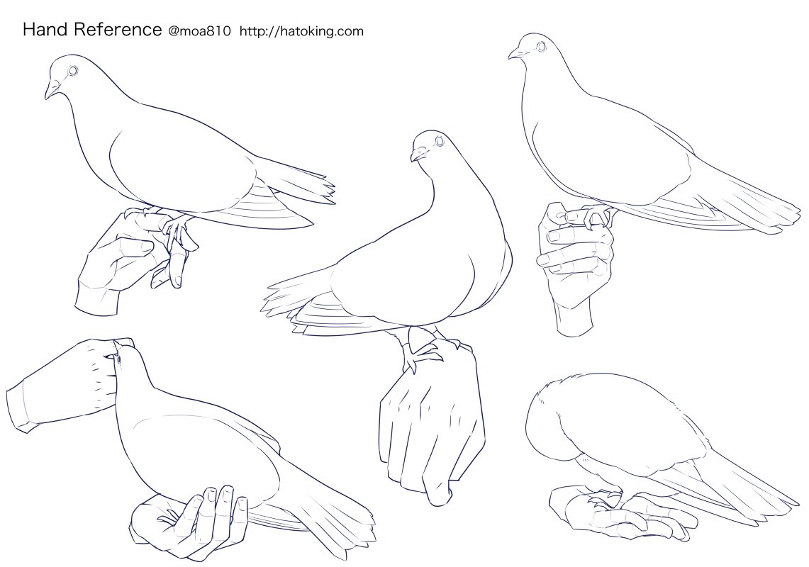 Moa お知らせ トレスokな手のイラスト資料集に 鳩を飼っている人 注射器 を追加しました T Co wjw0jtjn T Co Au0oenwjvb Twitter