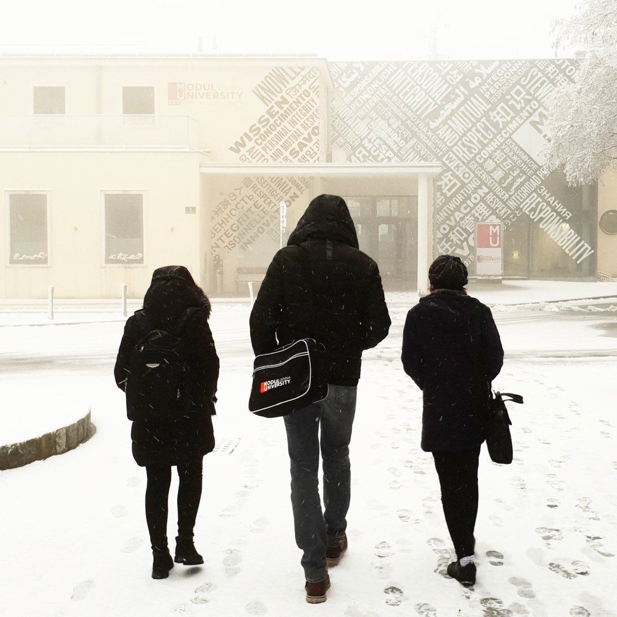 moduluniversity's tweet photo. #Modulians make it to class in all weathers. 👏🏼 #MU #Vienna https://t.co/vLQU0epFZk