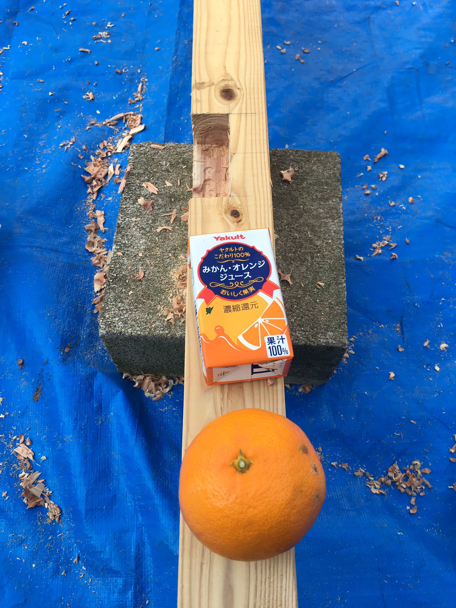 カンくん 近くに住んでるばあちゃんが木屑の匂いが好きって言って 木屑をいっぱいあげました その代わりにみかんとみかんジュースをもらいました これでも小さい物々交換でしょうかねーーばあちゃんありがとう