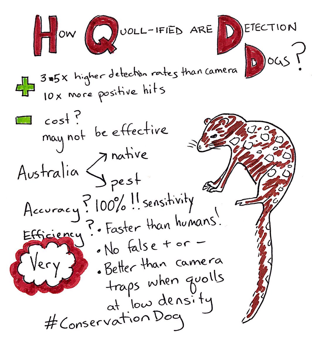 Dr Maggie J Watson / @terngirl.bsky.social tweet media