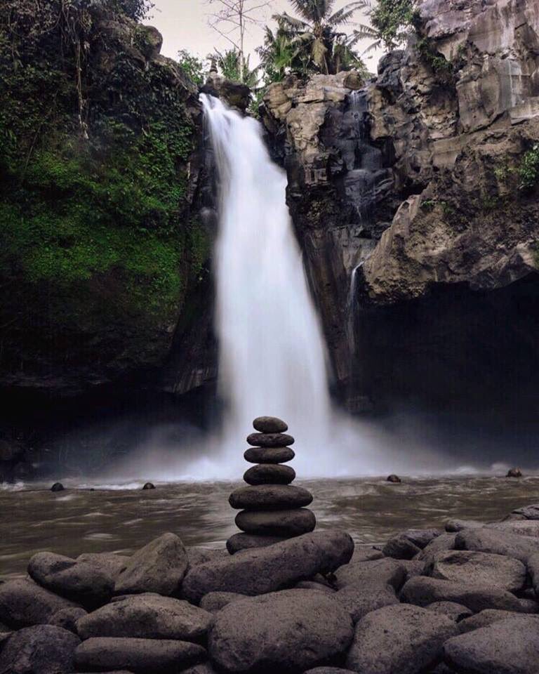 mangguk's tweet photo. UBUD &amp; WATERFALLS TOUR.
https://t.co/O7bd8KWbS1 to 17. https://t.co/0zGX2LZy3o
IDR 600.000/ Car.
Visiting:
Monkey Forest. 
Bali swing 
Ubud Market.
Rice Terrace.
 Coffee Plantations.
Gunung kawi sebatu temple. 
Tirtha Empul Temple.
Tegenungan Waterfalls.
#holidayfun #Travelers https://t.co/gTwLdT8XSP