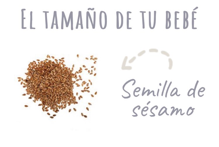 ¡𝑩𝒂𝒃𝒚 𝑱𝒂𝒑𝒓𝒊𝒍 #𝟑 𝒊𝒔 𝒄𝒐𝒎𝒊𝒏𝒈!

✺ .　　  ✵ 
　　 . .  · 　　　 . 
 ⊹ 　　　　 　　  ·   ⊹  ⊹ 　·  
 　   　  　　 *  ˚  ✧
  ✧ .  　·  　　 ✫ 　　
✷  　 *   · ˚ 　　  　　
  . .