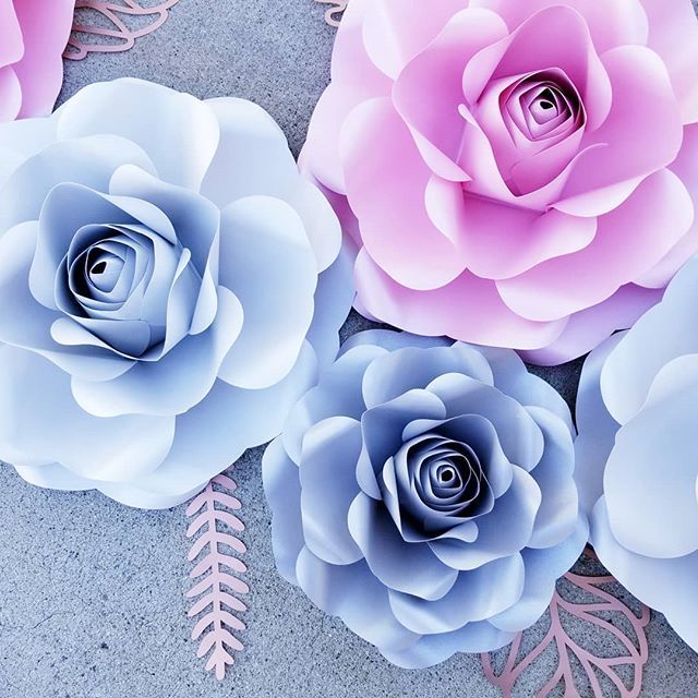 Flowersbyelleno's tweet photo. Nursery decor for @designsbybonniebs
.
.
.
.
#flowersbyellenoh #paperflowers #homedecor #wedding #eventplanning #bridalshower #babyshower #interiordesign #decoration #handmade #largepaperflowers #giantpaperflowers #paperart #weddingphotography #paperflorist #sale #flowerback… https://t.co/WjRxmdIey6
