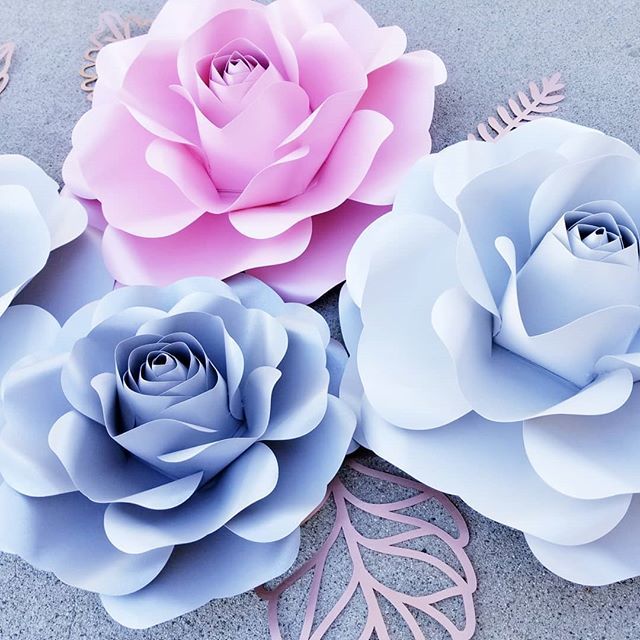 Flowersbyelleno's tweet photo. Shimmer paper flowers available now on etsy. Link in bio.
.
.
.
#flowersbyellenoh #paperflowers #homedecor #wedding #eventplanning #bridalshower #babyshower #interiordesign #decoration #handmade #largepaperflowers #giantpaperflowers #paperart #weddingphotography #paperfloris… https://t.co/lwCz653sRu