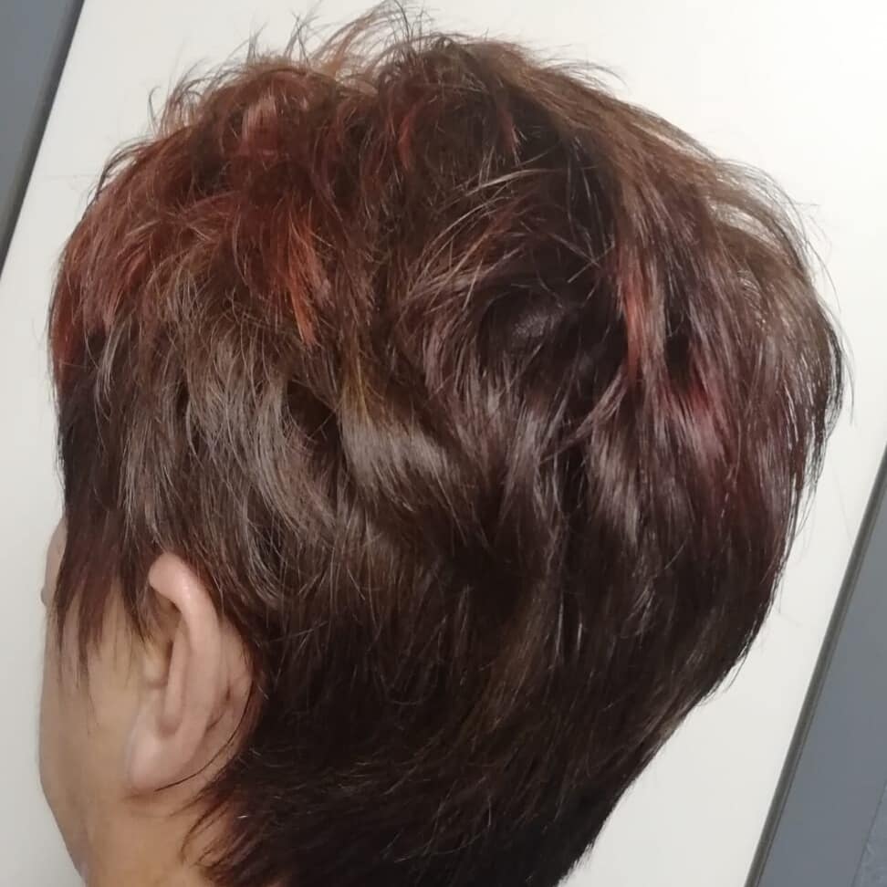 schrijven Proficiat galerij Hairstyling Stormer on Twitter: "Het haar is ingekleurd met 2 tinten bruin  en rode highlights. https://t.co/Mw6MSuNOIT" / Twitter