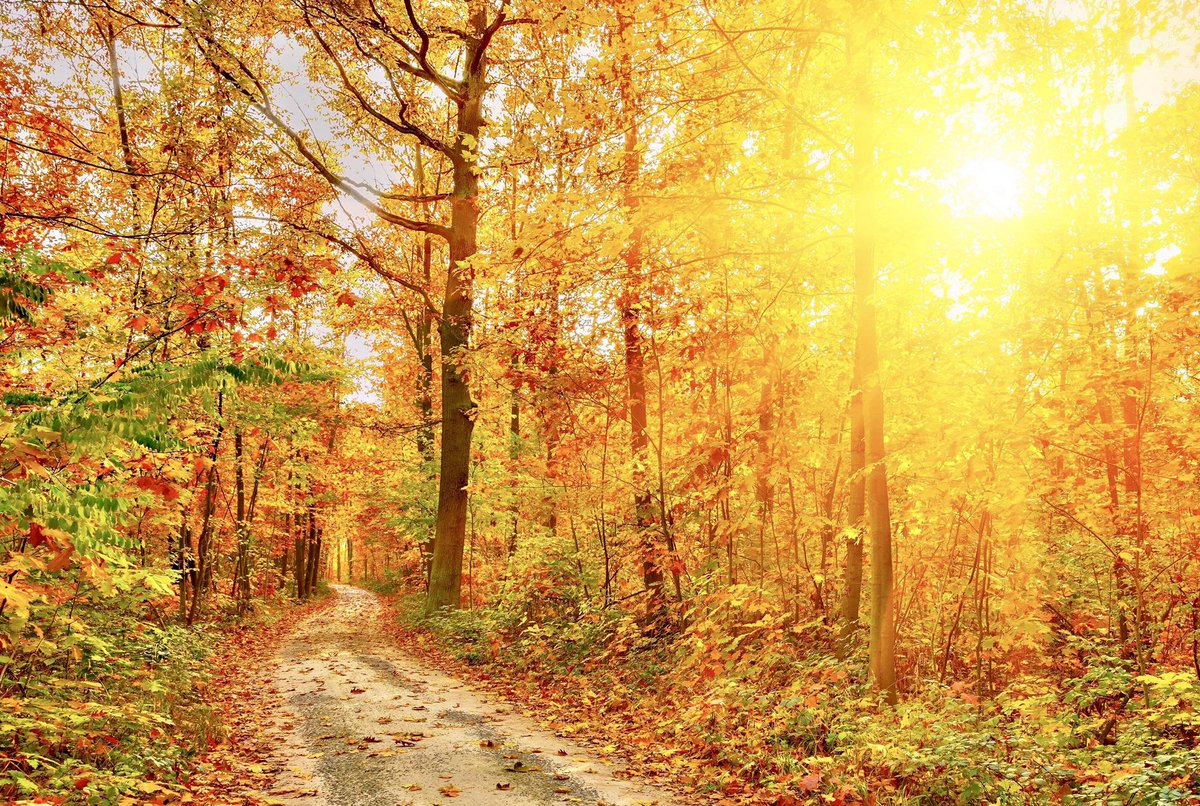 "Footpaths give the traveller reassurance. They are not likely to abandon him in the middle of the unknown. They may traverse difficult country but they are safe, securely anchored at both ends, the lifelines along which we can move without fear."~C.R.Milne #TuesdayThoughts