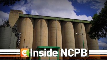 citizentvkenya's tweet photo. In part two of #InsideNCPB... Citizen TV uncovers lacklustre conduct by gov’t officials that cost the country
#DayBreak @SamGituku https://t.co/o1EfkFO5XS