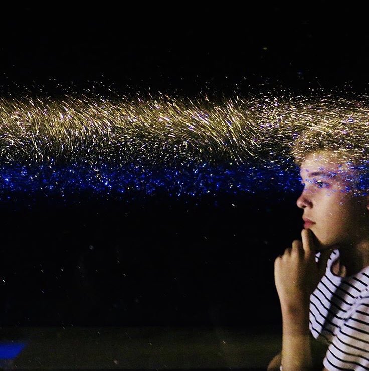 honor harger tweet media