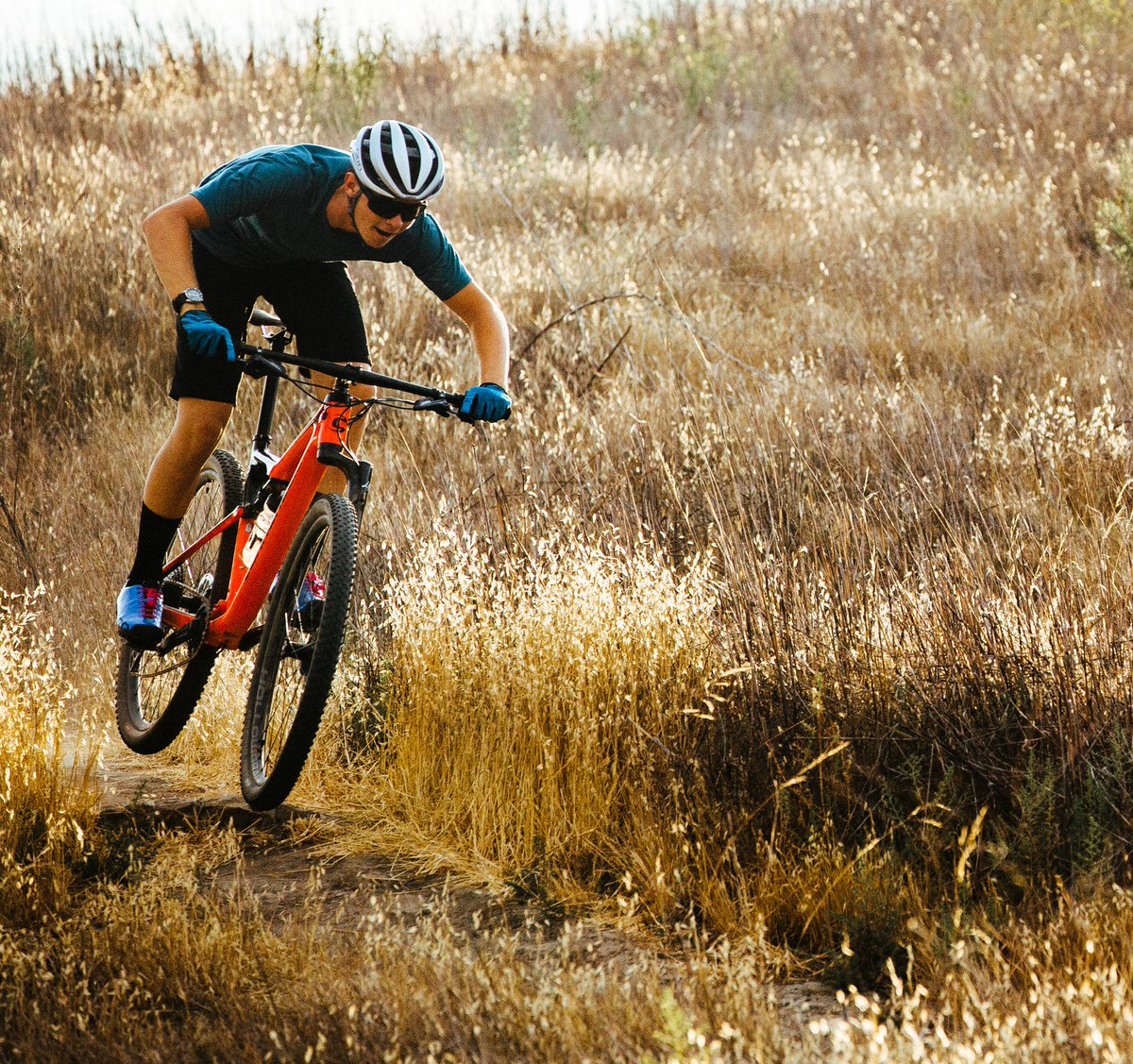 scalpel si carbon 3 2019