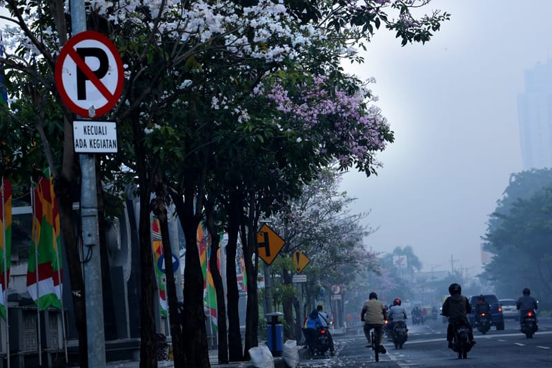 BanggaSurabaya's tweet photo. Bukan, ini bukan di luar negeri. Ini Surabaya!! https://t.co/lStjMWDa4N