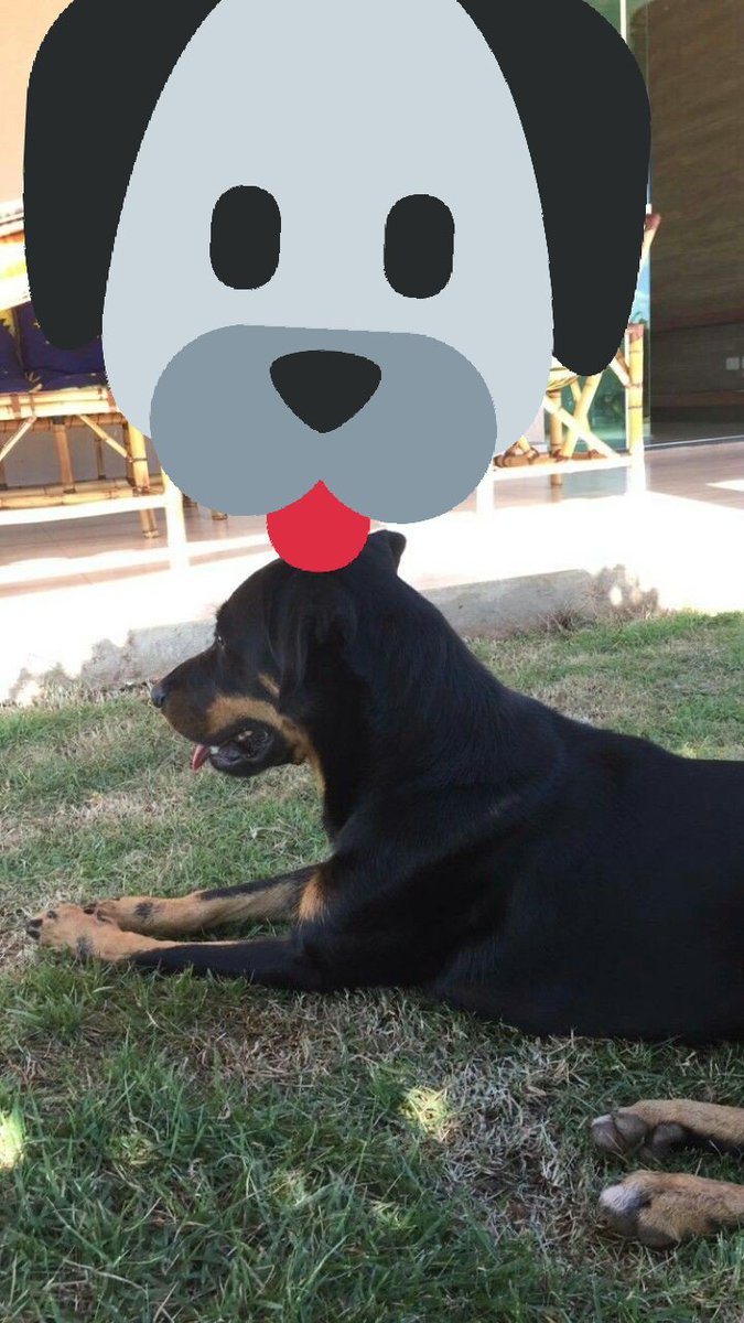 Bas__🤘 tweet media